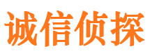 元阳市调查公司